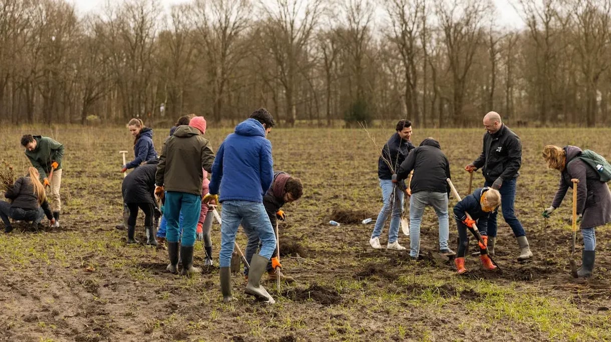 Group of men digging in a forest landscape