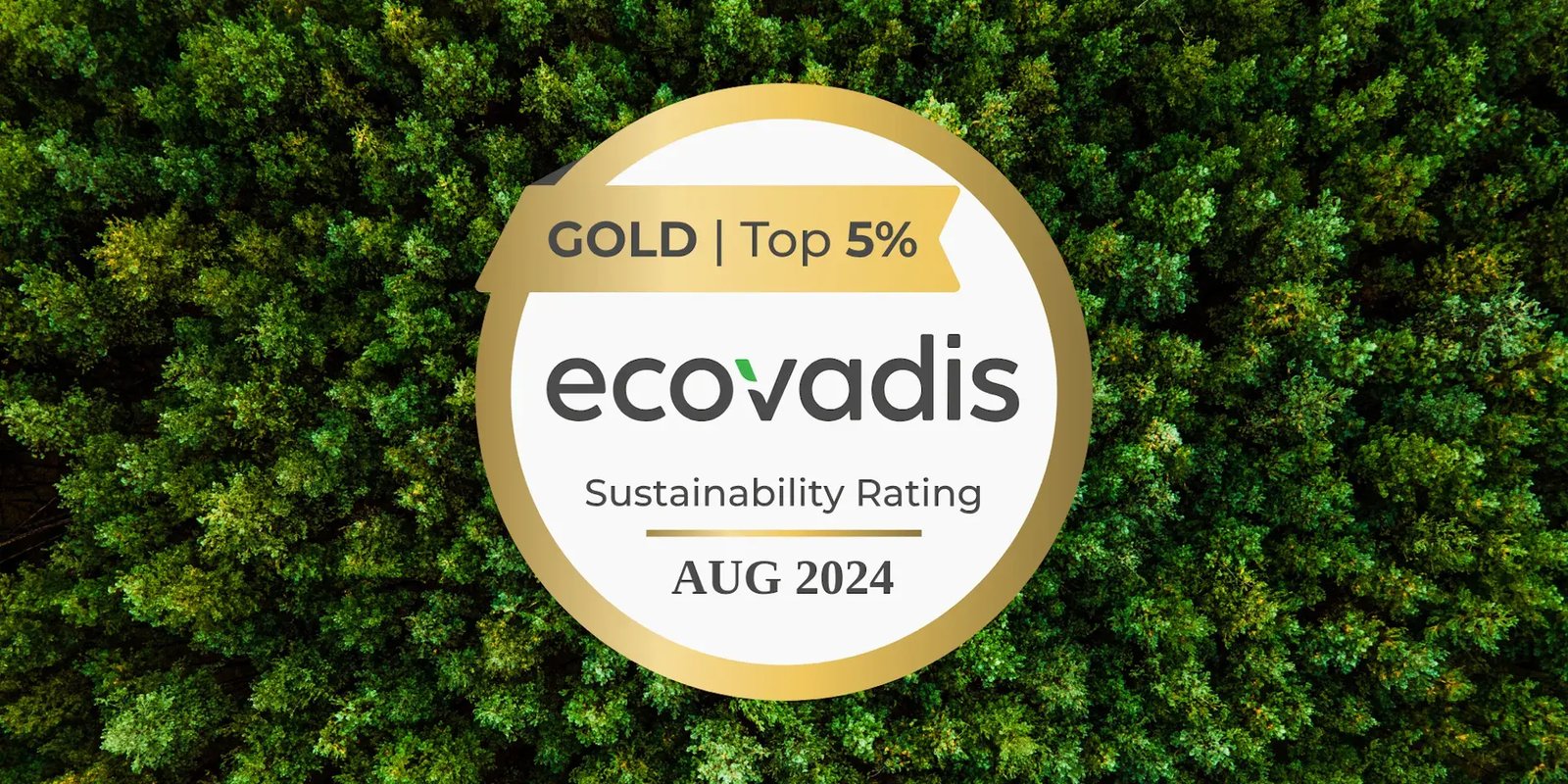 1724741662-ecovadis-2024-goud