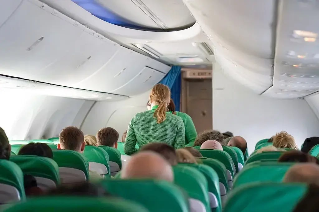 1739786231-transavia-artikel