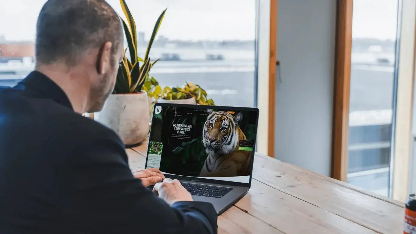 Man kijkt naar laptop.
