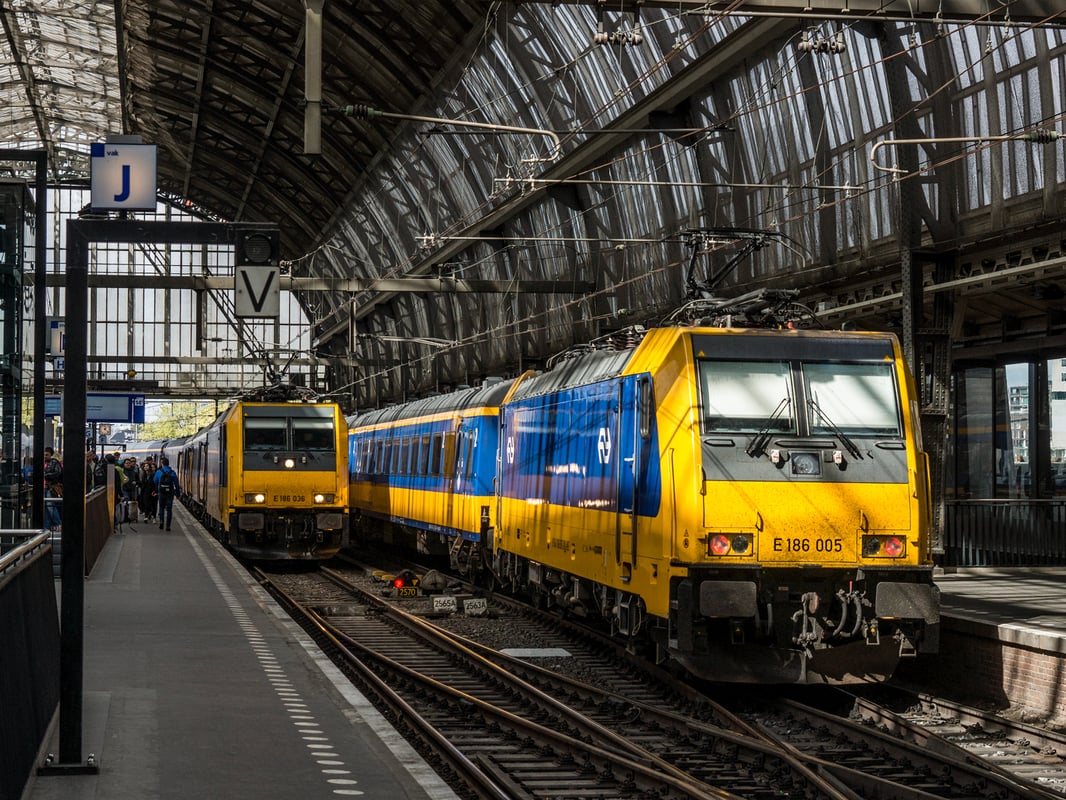 Twee geel-blauwe NS-treinen langs een perron onder een stalen stationsoverkapping