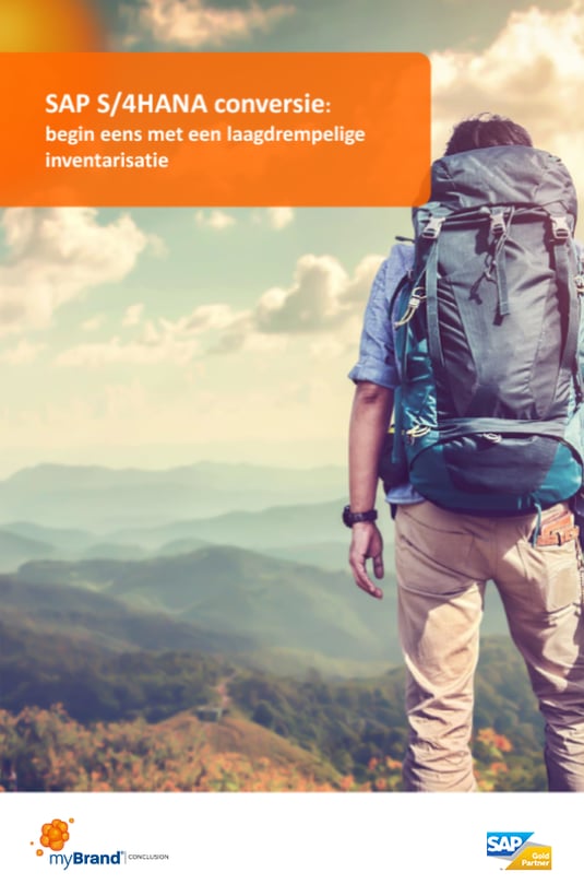 Voorkant van de whitepaper SAP S/4HANA conversie: begin eens met een laagdrempelige inventarisatie, met een wandelaar met rugzak in een berglandschap