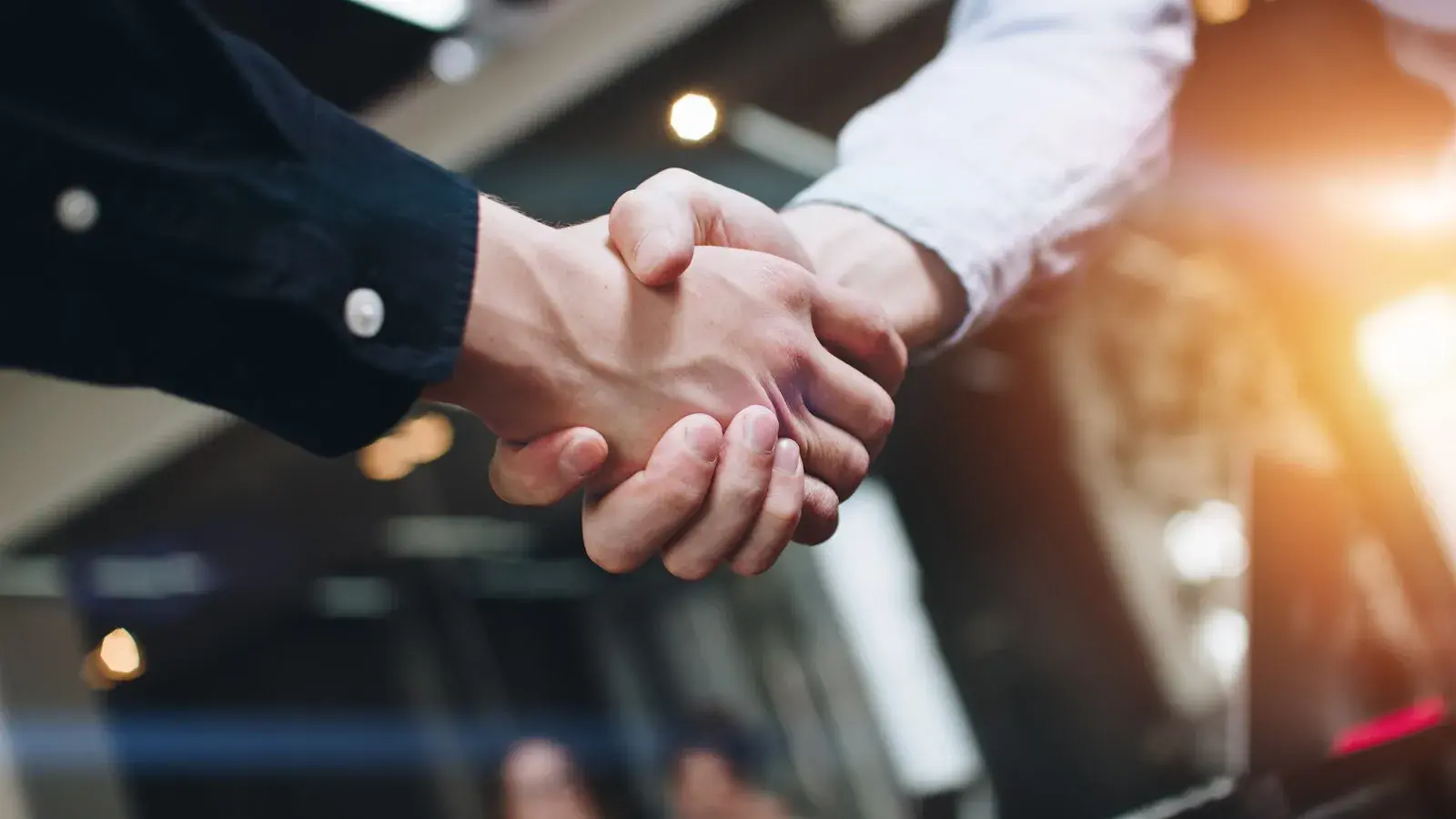 Twee schuddende handen 