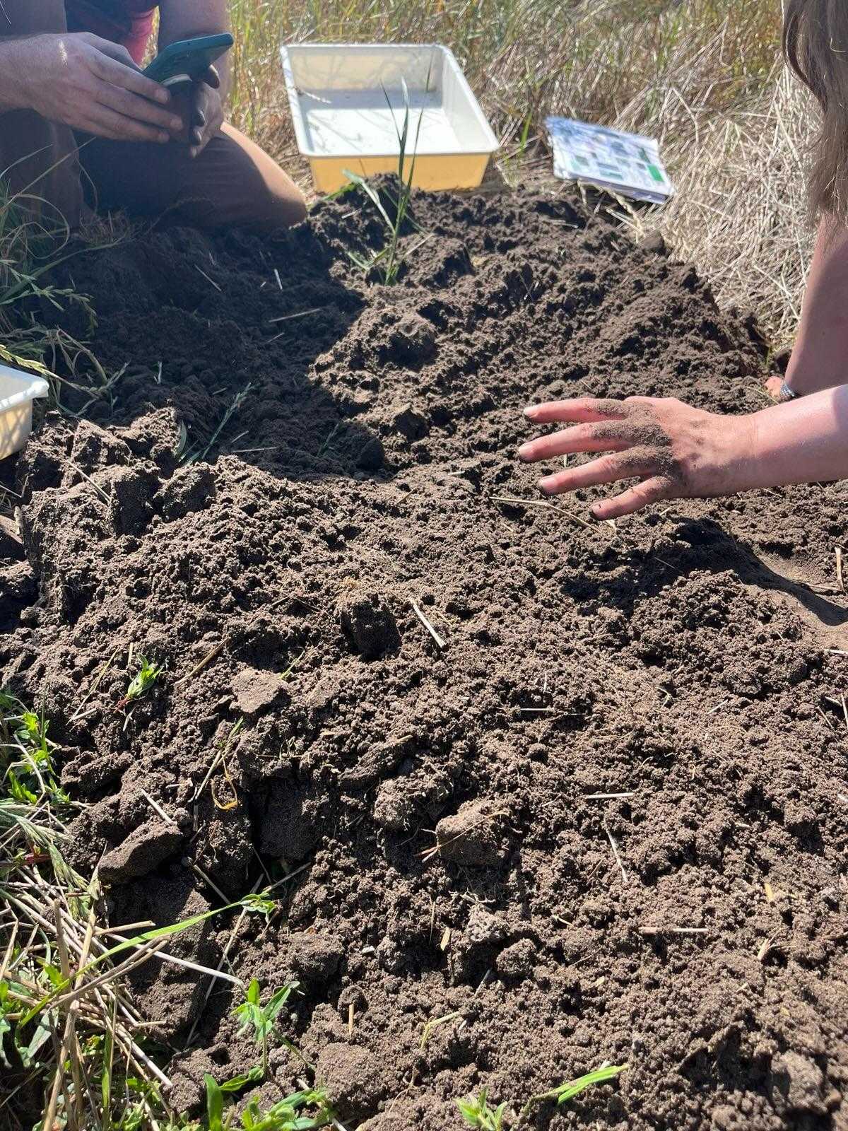 handen boven de grond