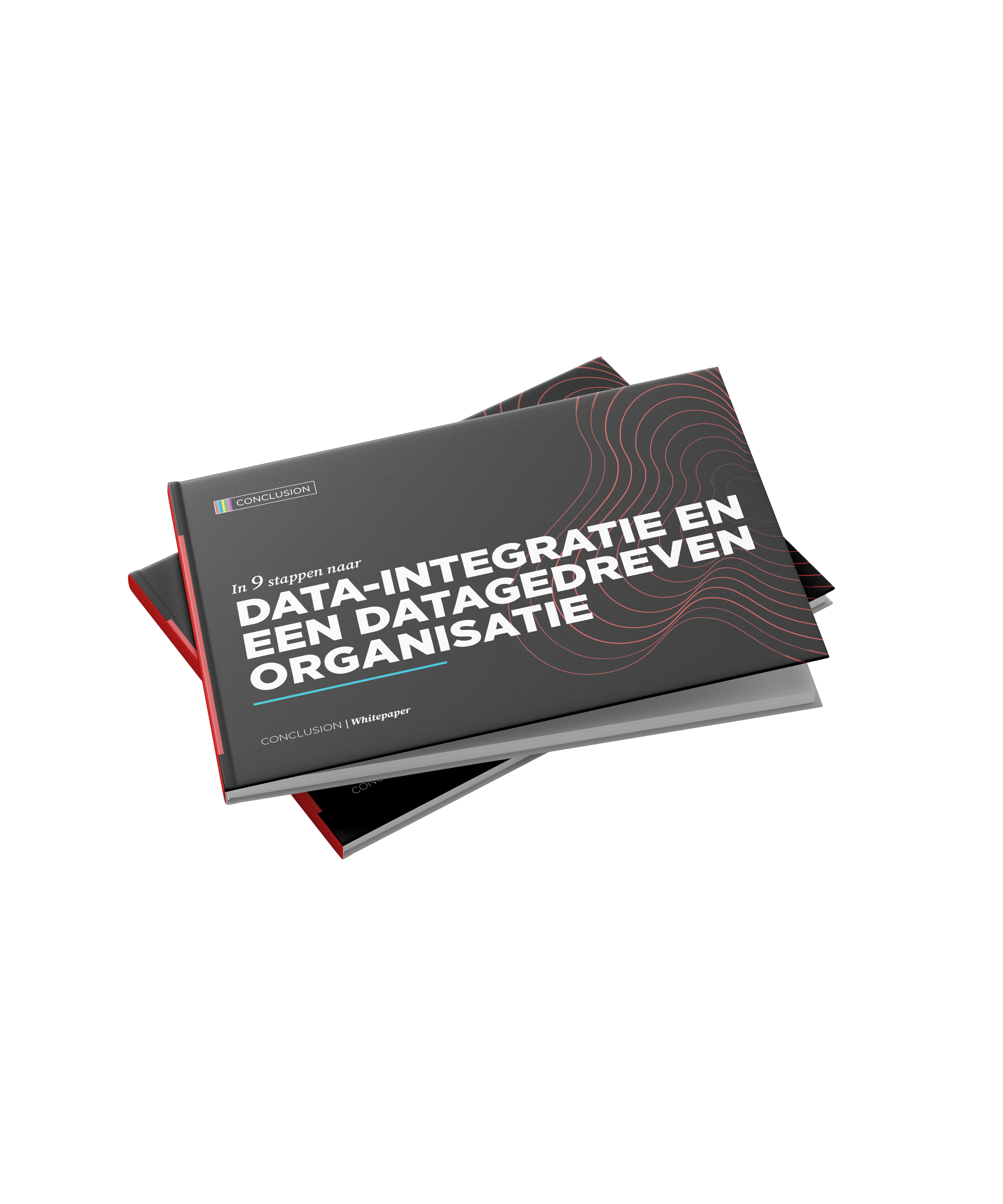Whitepaper-data-integratie-NL